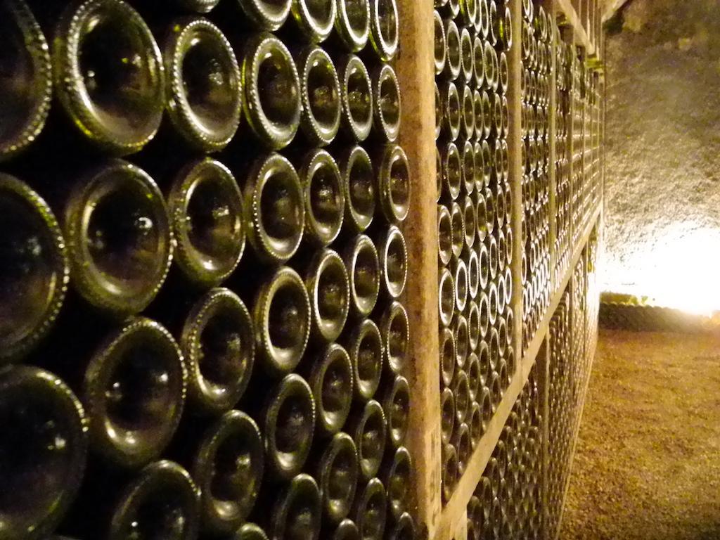 Chateau Du Petit Musigny A Chambolle ภายนอก รูปภาพ