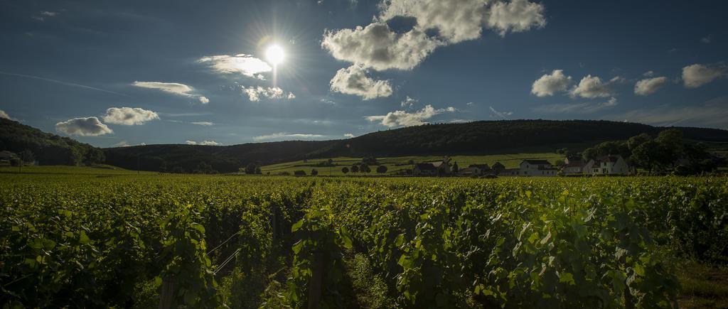 Chateau Du Petit Musigny A Chambolle ภายนอก รูปภาพ