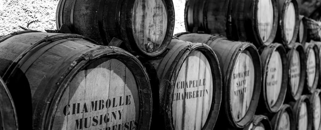 Chateau Du Petit Musigny A Chambolle ภายนอก รูปภาพ