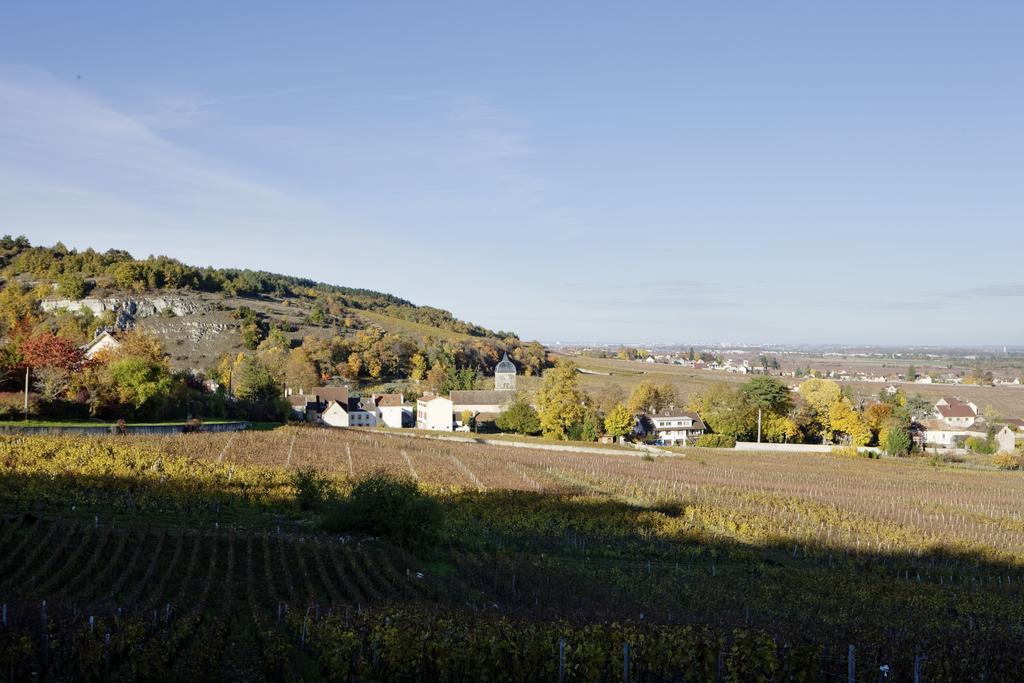 Chateau Du Petit Musigny A Chambolle ภายนอก รูปภาพ
