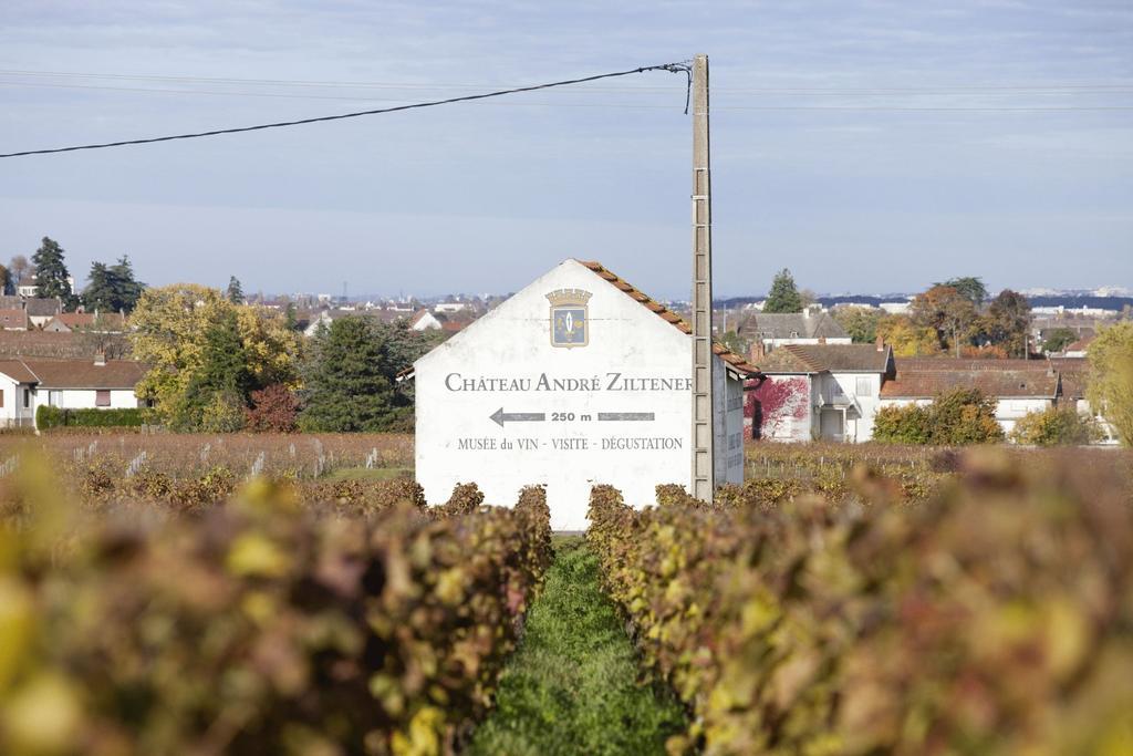 Chateau Du Petit Musigny A Chambolle ภายนอก รูปภาพ