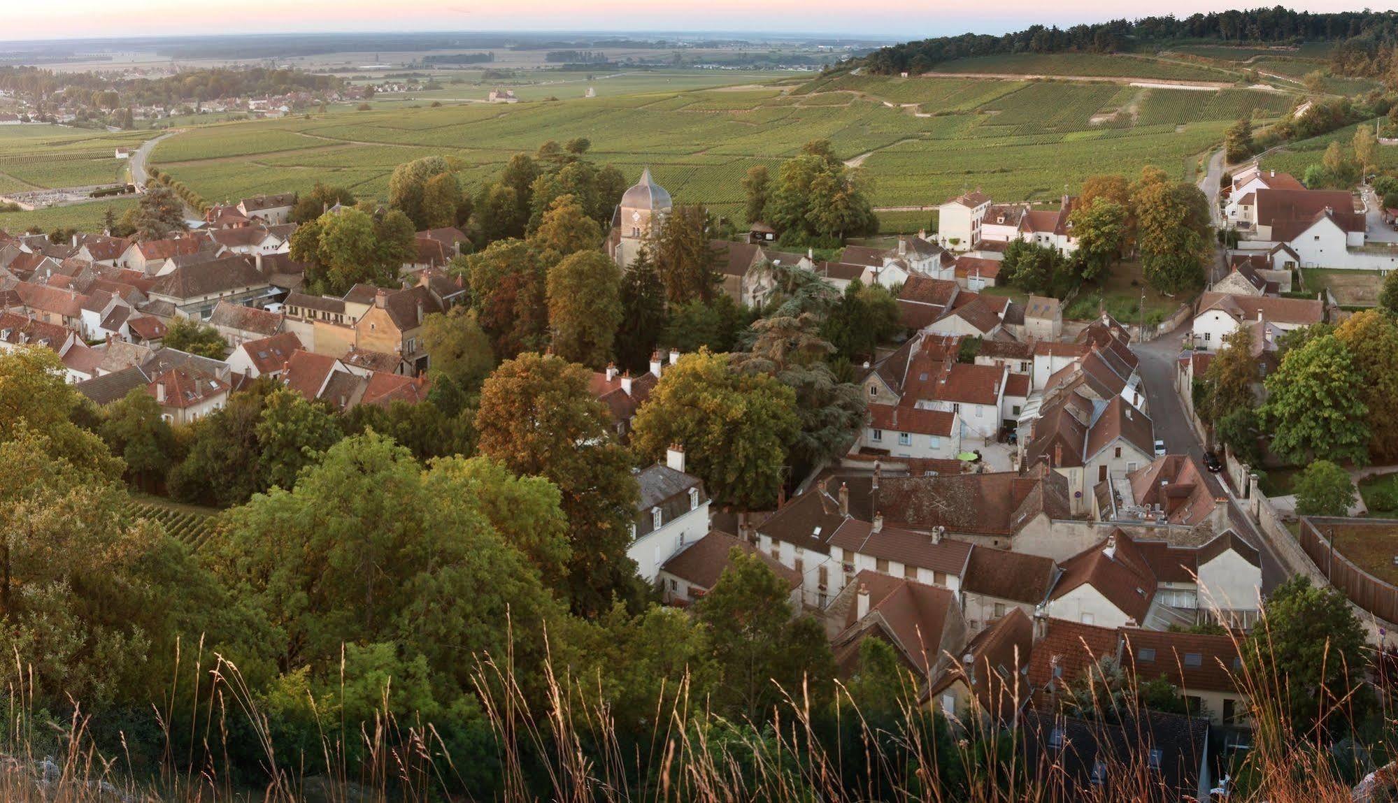 Chateau Du Petit Musigny A Chambolle ภายนอก รูปภาพ
